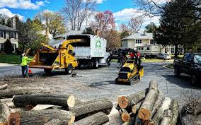 Best Grass Overseeding  in San Marino, CA