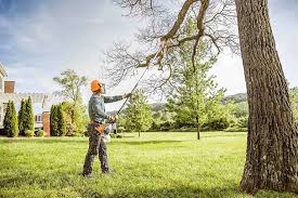 Best Lot and Land Clearing  in San Marino, CA